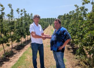 David Casadellà és el nou president de Poma de Girona, en substitució de Jaume Armengol