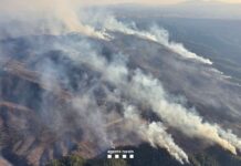 Incendi de les Gavarres: els Bombers treballen per tancar el flanc dret i evitar que el foc s’obri cap a Girona