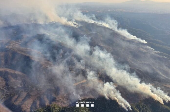 incendi gavarres