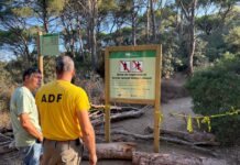 Palamós reforça la senyalització dels camins tancats de Castell-Cap Roig després de l’incendi