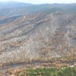 Només el 5% de la superfície forestal privada de Catalunya està assegurada davant el risc d’incendi privat:-el-consorci-de-les-gavarres-traca-el-full-de-ruta-per-a-la-restauracio-del-massis-despres-de-l’incendi-de-la-bisbal-d’emporda