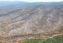 Només el 5% de la superfície forestal privada de Catalunya està assegurada davant el risc d’incendi privat:-el-consorci-de-les-gavarres-traca-el-full-de-ruta-per-a-la-restauracio-del-massis-despres-de-l’incendi-de-la-bisbal-d’emporda