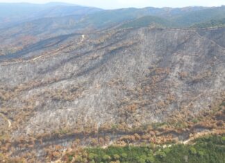 Només el 5% de la superfície forestal privada de Catalunya està assegurada davant el risc d’incendi privat:-el-consorci-de-les-gavarres-traca-el-full-de-ruta-per-a-la-restauracio-del-massis-despres-de-l’incendi-de-la-bisbal-d’emporda