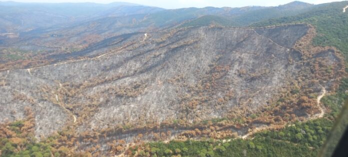 privat:-el-consorci-de-les-gavarres-traca-el-full-de-ruta-per-a-la-restauracio-del-massis-despres-de-l’incendi-de-la-bisbal-d’emporda privat:-el-consorci-de-les-gavarres-traca-el-full-de-ruta-per-a-la-restauracio-del-massis-despres-de-l’incendi-de-la-bisbal-d’emporda