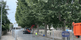 La Bisbal d’Empordà rebaixa el paviment del passeig Muriel Casals per evitar inundacions a la biblioteca