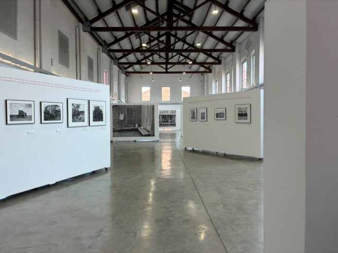 WhatsApp Image 2026-08-02 at 09.24.14 Biennal Xavier Miserachs Palafrugell