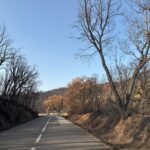 Benet Cuyàs: “L’incendi de les Gavarres ha estat un toc d’alerta” incendi de les Gavarres Benet Cuyàs
