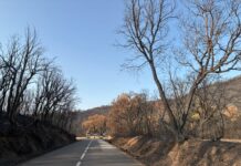 Benet Cuyàs: “L’incendi de les Gavarres ha estat un toc d’alerta” incendi de les Gavarres Benet Cuyàs