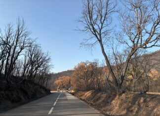 Benet Cuyàs: “L’incendi de les Gavarres ha estat un toc d’alerta” incendi de les Gavarres Benet Cuyàs