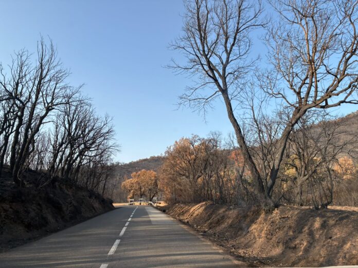 incendi de les Gavarres Benet Cuyàs