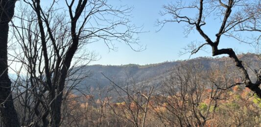 Incendi de les Gavarres un mes després