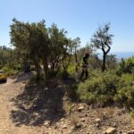 Palamós inicia l’última fase de prevenció d’incendis forestals a Puig Cargol Palamós incendis