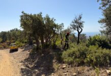 Palamós inicia l’última fase de prevenció d’incendis forestals a Puig Cargol Palamós incendis