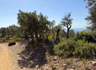 Palamós inicia l’última fase de prevenció d’incendis forestals a Puig Cargol Palamós incendis