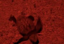 Neixen les primeres tortugues careta del niu de l’Estartit