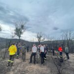 El Consell Comarcal revisa la gestió de l’incendi de les Gavarres dos mesos després gavarres incendi