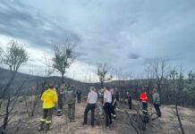 El Consell Comarcal revisa la gestió de l’incendi de les Gavarres dos mesos després gavarres incendi