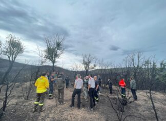El Consell Comarcal revisa la gestió de l’incendi de les Gavarres dos mesos després gavarres incendi