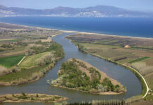 El Parc dels Aiguamolls de l’Empordà podria créixer 1.000 hectàrees i incorporar cinc municipis