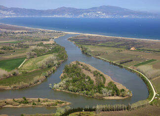 El Parc dels Aiguamolls de l’Empordà podria créixer 1.000 hectàrees i incorporar cinc municipis