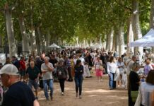 La Bisbal celebra la 38a Fira de Brocanters amb una vintena llarga d’expositors