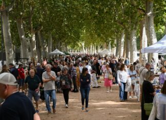 La Bisbal celebra la 38a Fira de Brocanters amb una vintena llarga d’expositors